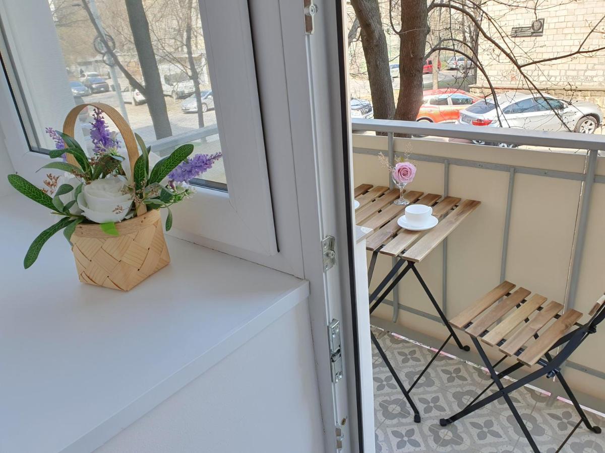 All New And Cozy Apartment In The Silence Center Kiszyniów Zewnętrze zdjęcie